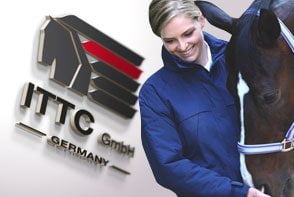 Webdesign für Webshop